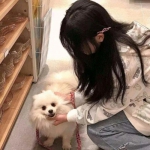 江南官方全站app下载